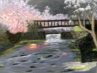 Cherry Blossom Time - Acrylic Paintings - By Sam Mcilwain, Realism Painting Artist