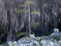 Lone Pine - Acrylic Paintings - By Sam Mcilwain, Realism Painting Artist