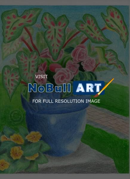 Early Work - Blue Pot Wih Flowers - Colored Pencil