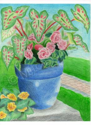 Early Work - Blue Pot Wih Flowers - Colored Pencil