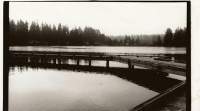 Cottage Lake - 35Mm Photography - By Sarah Spurlock, Black And White Photography Artist