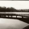 Cottage Lake - 35Mm Photography - By Sarah Spurlock, Black And White Photography Artist