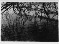 Water - 35Mm Photography - By Sarah Spurlock, Black And White Photography Artist
