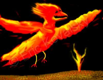 New - Firebird - Digital