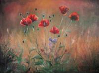 Flowers - Poppies - Oil On Canvas