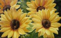 Flowers - Sunflower - Oil On Canvas