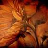 Dark Sunflower - Oil On Canvas Paintings - By Sorin Apostolescu, Realism Painting Artist