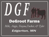 Dgf 3 - Photo Shop Digital - By Shayna Degroot, Photo Shop Digital Artist