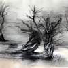M - Charcoal Drawings - By John Biro, Drawing Drawing Artist