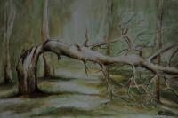 Tree - Aquarelle Paintings - By John Biro, Painting Painting Artist