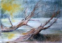 One Pair Of Tree Near By Eachother On Two Ways - Mixed Media Drawings - By John Biro, Drawing Drawing Artist