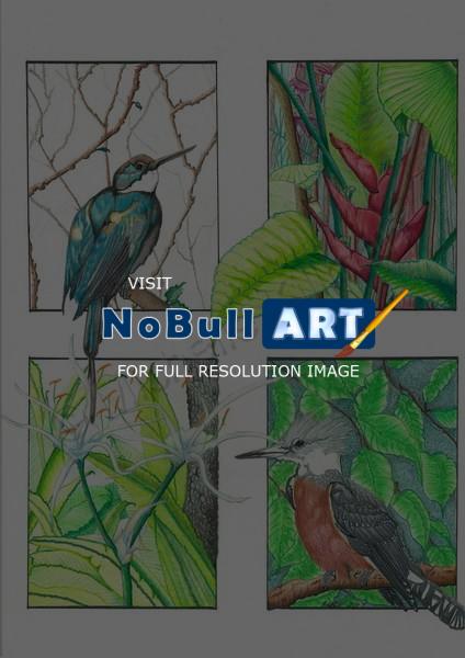 Nature - Birds 001 - Colored Pencil
