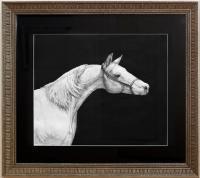 White Horse - Artwork Drawings - By Tanya Anisimova, Rapidograph Drawing Artist