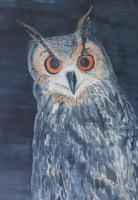 Owlie Eyes - Water Olour Paintings - By Linda Garner, Animal Painting Painting Artist