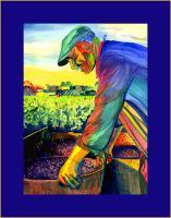 The Farmer Of Bordeaux - Watercolor Paintings - By Mako Hughes, Unique Usage Of Pure Colors Painting Artist