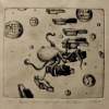 Ascent Of The Cephalopod - Etching Other - By Dixie Warren, Amateur Other Artist
