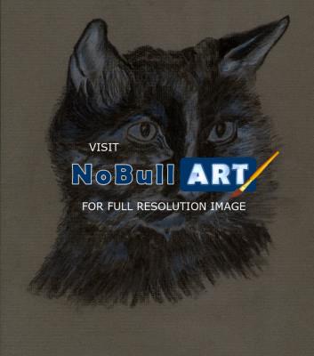 Gallery 2  Studies - Black Cat - Watercolour Pastel