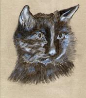 Gallery 2  Studies - Black Cat - Watercolour Pastel