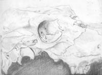 Skull Still - Pencil  Paper Drawings - By Martin Payne, Still Life Drawing Artist