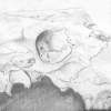 Skull Still - Pencil  Paper Drawings - By Martin Payne, Still Life Drawing Artist