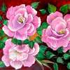 Camellia - Acrylic Paintings - By Fram Cama, Still Life Painting Artist