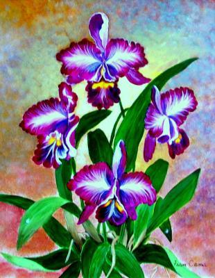 Flowers - Orchid - Acrylic