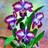 Orchid - Acrylic Paintings - By Fram Cama, Still Life Painting Artist