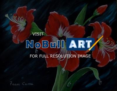 Flowers - Scarlet Amaryllis - Acrylic