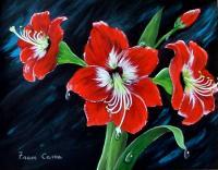 Flowers - Scarlet Amaryllis - Acrylic
