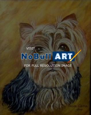 Dogs - Yorkshire Terrier - Acrylic