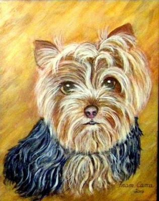 Dogs - Yorkshire Terrier - Acrylic