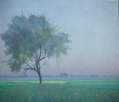 01 - Kikar A Name Of A Tree - Oil On Canvas