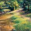 Shupps Grove - Pastel Paintings - By Bill Puglisi, Impressionistic Painting Artist