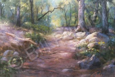 Landscape - Woods In Warwick Park - Pastel