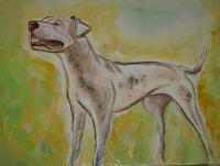 Saffada Dogo Argentino - Oil On Canvas Paintings - By Chiara Montorsi, Impressionism Painting Artist
