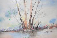 Riverbirch - Watercolor Paintings - By Stephen Summers, Realism Painting Artist