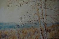 Landscape - Birch Tree Cluster - Acrylic