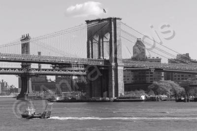 Black  White - Brooklyn Bridge - Digital