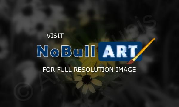 Nature - Flowers - Digital