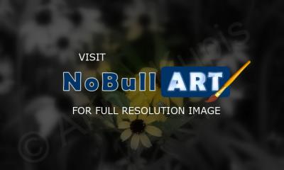 Nature - Flowers - Digital