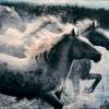 Horses Running In Water - Oils On Slate Paintings - By Karen Cortese, Realism Painting Artist