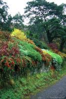 Landscape - Autumnal Colours - Digital