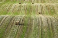 Gathering The Hay - Digital Photography - By Macsfield Images, Landscape Photography Artist