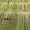 Gathering The Hay - Digital Photography - By Macsfield Images, Landscape Photography Artist