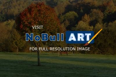 Landscape - Autumn - Digital