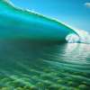 The Green Wave - Oil On Hardboard Paintings - By Wayne French, Realism Painting Artist
