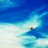 Flight Unknown - Photography Photography - By Natalie Bible, Digital Photography Artist
