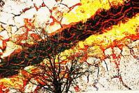 Blazing Fury - Photography Photography - By Natalie Bible, Digital Photography Artist