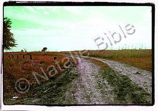 Abstract - Long Road Home - Photography