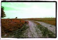 Abstract - Long Road Home - Photography